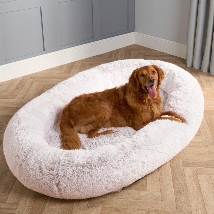 Nupatta Human Dog Bed